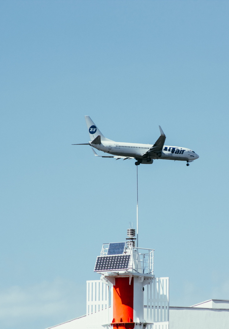 transportation, aircraft, low angle view, airplane, daylight, vertebrate, vehicle, photo, clear sky, animal themes, transportation system, flight, blue