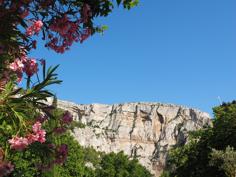 no people, day, rock wall, tree, beauty in nature, rock, blue, tranquility, pink, oleander, karst area, rock - object, solid, karst, flower, nature, growth