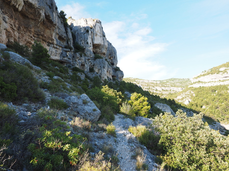 nature, rock wall, fontaine-de-vaucluse, tree, ancient civilization, formation, provence, sky, sunlight, rock, day, rock - object, mountain, tranquil scene
