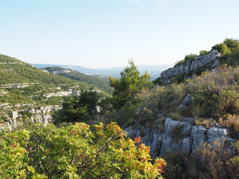fontaine-de-vaucluse, environment, karst area, provence, france, idyllic, rock, mountain, 4K, growth, scenics - nature, karst landscape, beauty in nature