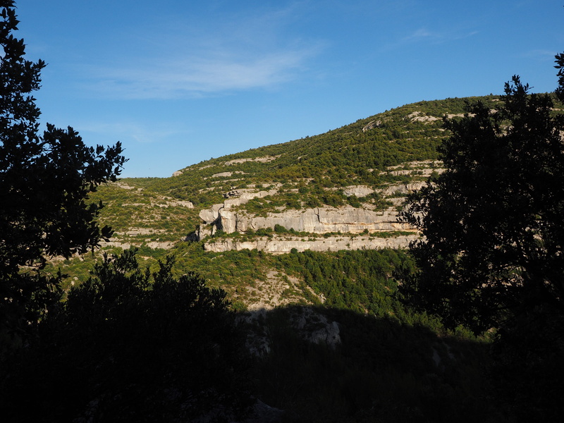mountain, beauty in nature, green color, tree, Area, growth, tranquil scene, provence, tranquility, rock wall, Rock, scenics - nature, plant, water, landscape