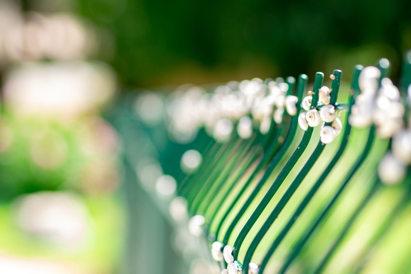 wall, close-up, extreme close-up, in a row, fence, pearl jewelry, defocused, mood, france, group of objects, simplisity, day, snails, personal accessory