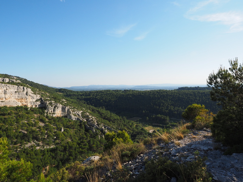 tranquility, environment, water, rock, growth, architecture, landscape, beauty in nature, karst area, outdoors, fontaine-de-vaucluse, plant, sky, non-urban scene