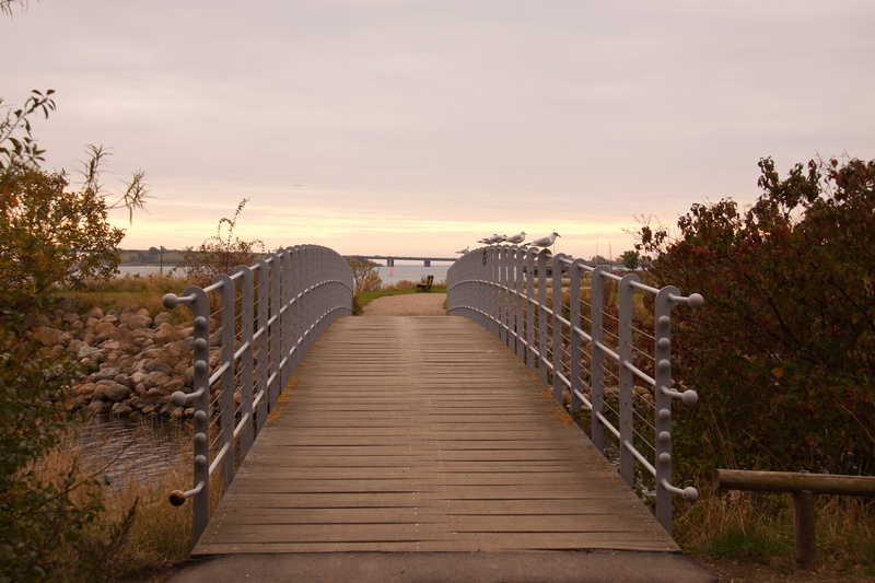 Harbour, landscape, rural scene, outdoors, cloudscape, long, footpath, Path, architecture, 4K, direction, water, summer, hvidovre, the way forward, sea