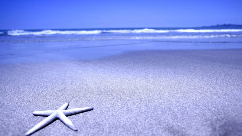 calm, summer, wave, sky, horizon over water, beach, 4K, beauty in nature, water, sea, holiday, ocean, horizon, tranquil scene, land, nature, wind wave