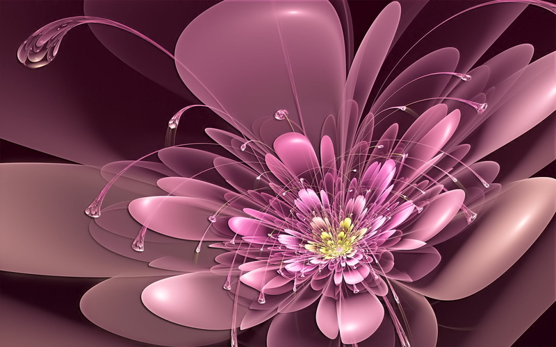purple, nature, vector, plant, freshness, art, pink Color, elegance, beautiful, pink, red, backgrounds, 1080P, computer Graphic, decoration, backdrop