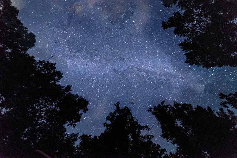 space and astronomy, jasper, tranquil scene, tree, universe, milky way, no people, star - space, space, nebula, outdoors, astronomy, scenics - nature, 4K