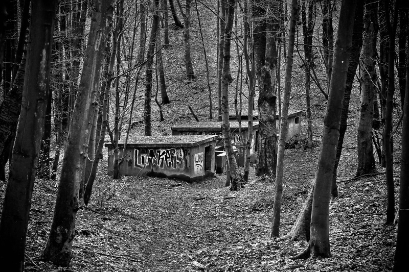 concrete, tree, lost places, ruin, text, gun, mood, Lost, protection, growth, outdoors, sw, trunk, lapsed, no people, War, World, pforphoto, building, broken