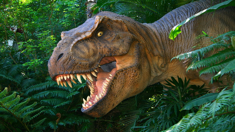 aggression, nature, hd, rex, no people, animal head, mouth open, animals in the wild, animal mouth, past, lost, outdoors, plant, animal body part
