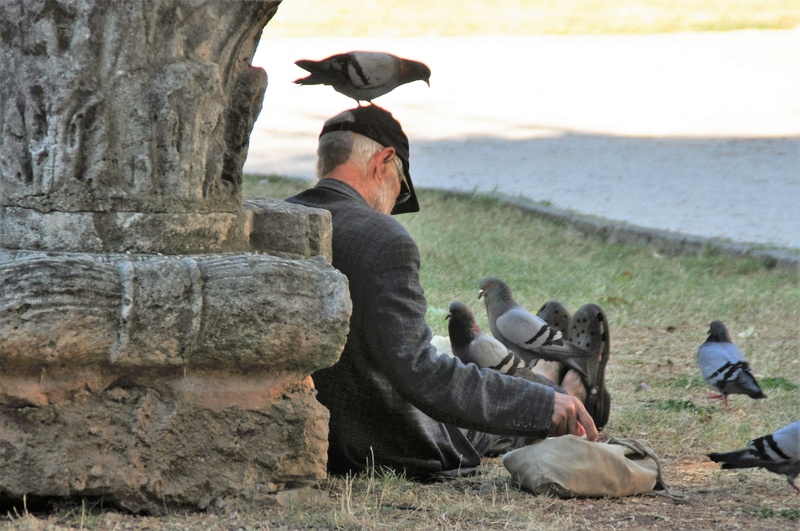 bird, rock, eat, animals in the wild, water, rock - object, outdoors, food, casual clothing, real people, plumage, pigeons, vertebrate, animal world, solid