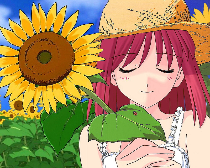 tsukihime, shingetsutan, tagme, kohaku, 720P