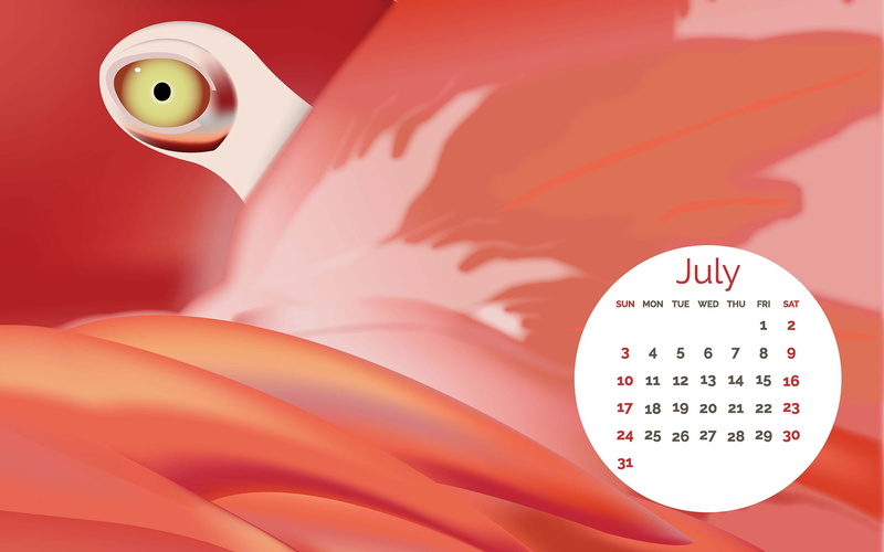 bed, heart shape, orange color, backgrounds, text, western script, calendar, wealth, number, 2K, lovin, summer, no people, july, studio shot
