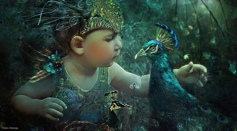 art, 720P, blue, peacock, nature, child, The boy with peacocks, offspring, beauty in nature, women, vertebrate, helen chierego, forest, beauty, one animal