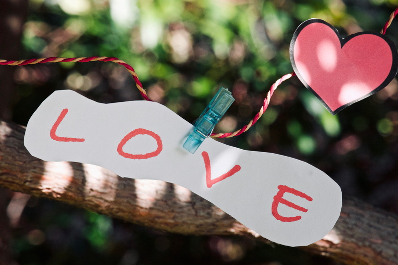 valentine card, positive emotion, love, letter, text, symbol, 5K, sign, emotion, focus on foreground, affection, report, valentines day, tree, close-up