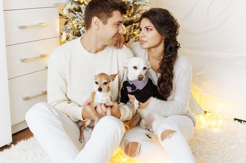 adult, canine, real people, small, indoors, lifestyles, positive emotion, sleeved, people, long, bonding, girl, couple - relationship, swag, 1080P, females