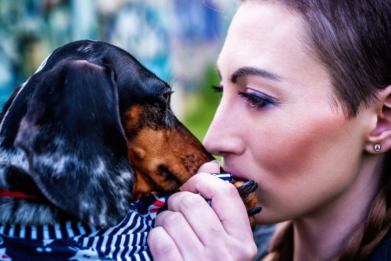 pets, tenderness, portrait, Mood, one animal, positive emotion, Dachshund, domestic, young adult, summer, mood, emotions, lifestyles, leisure activity