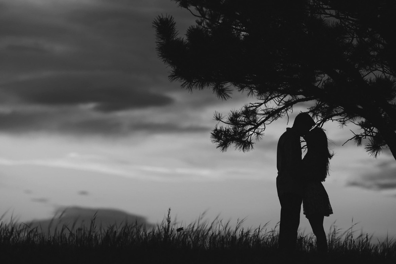 summer, digital, sunlight, plant, field, kiss, standing, togetherness, love, outdoors, beauty In Nature, pair, 1080P, men, back Lit, sunset