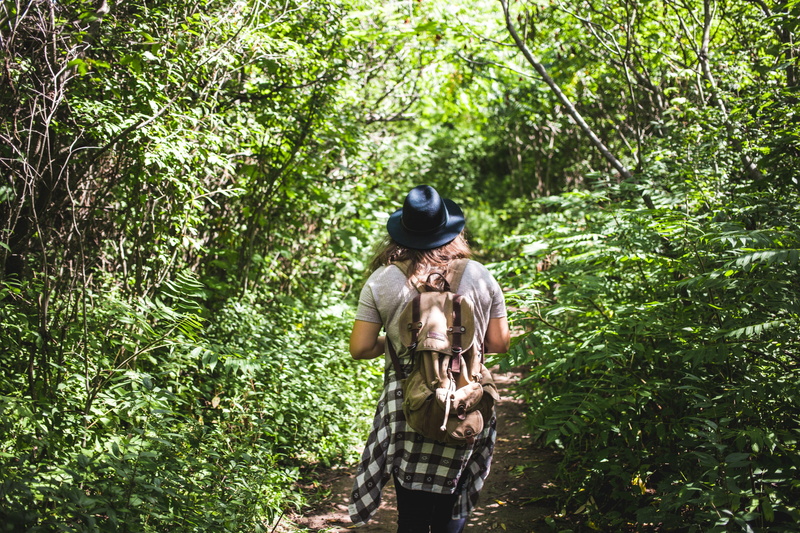 healthy, outdoor, Woods, explorer, lifestyle, plant, Young, Hat, travelers, lifestyles, outdoors, View, person, 2K, walk, Green, woodland, standing, female