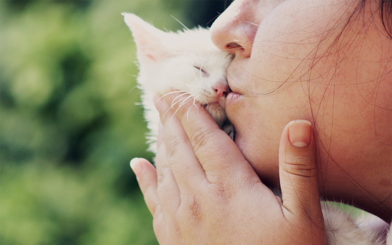 cat, animals, kissing, kitten, love, woman, lips, 1080P, face, girl