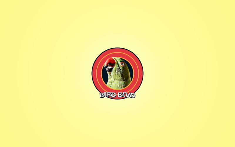 Parrot, Animal, Indian Ringneck, Bird, Parakeet, Pet, Artistic, 2K