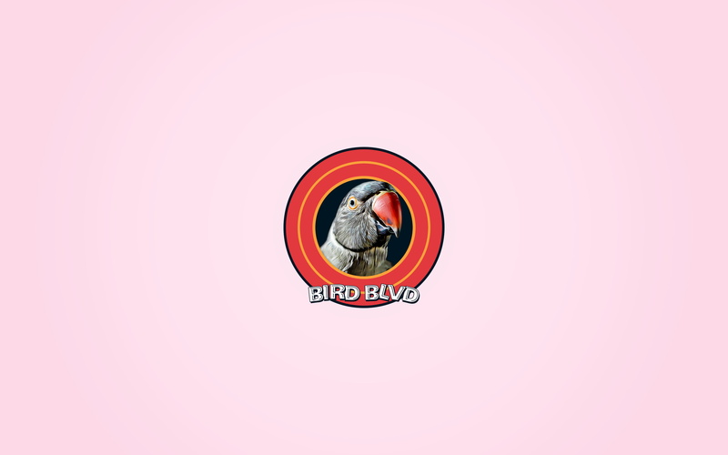 2K, Parrot, Animal, Indian Ringneck, Artistic, Parakeet, Bird, Pet