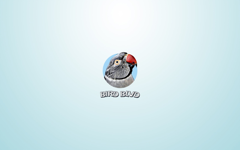 2K, Bird, Parrot, Birds, Indian Ringneck