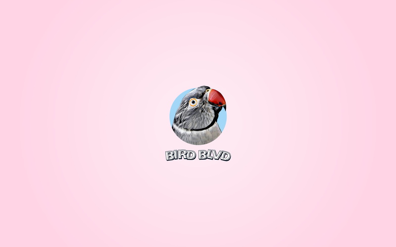 Bird, Birds, Parrot, Indian Ringneck, 2K