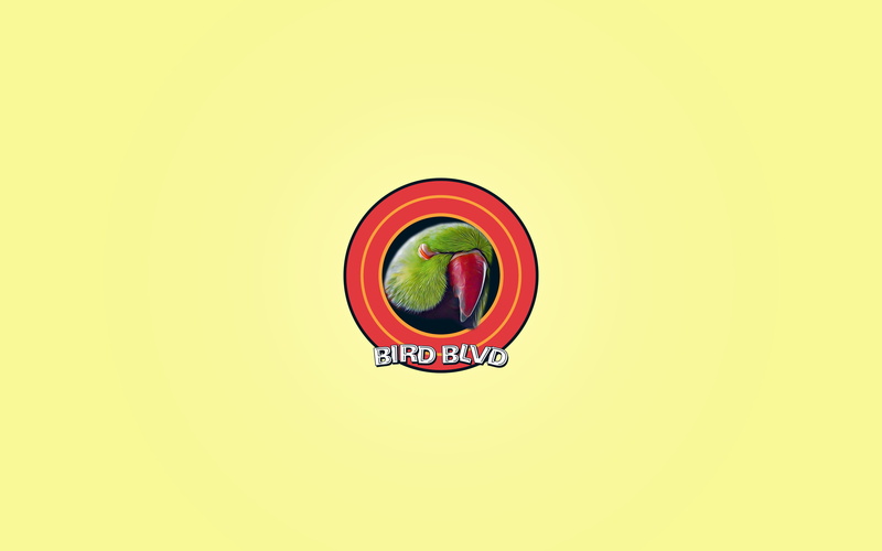 Animal, Bird, 2K, Artistic, Pet, Parakeet, Parrot, Indian Ringneck