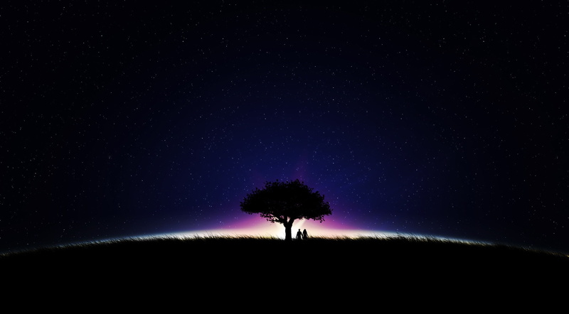 Love, Holding, tree, silhouette, Lovers, star - space, hd, field, illuminated, astronomy, land, 2K, scenics - nature, digital, sky, Hands, night