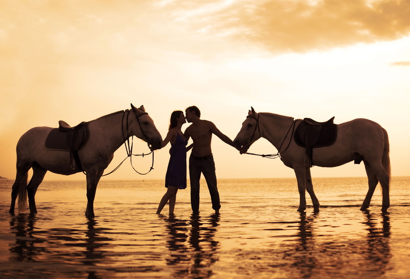 water, 5K, models, couple, lovers, hd, art, x, sunsets, animals, horses