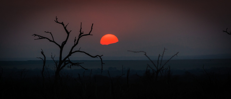 nature, trunk, sky, beauty in nature, dusk, africa, two, land, scenics - nature, bare tree, silhouette, natural, panoramic, no people, environment, tranquil scene