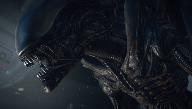statue, nature, alien movie aliens xenomorph alien isolation, underwater, no people, sea life, animal themes, indoors, 720P, animal, animal wildlife, one animal