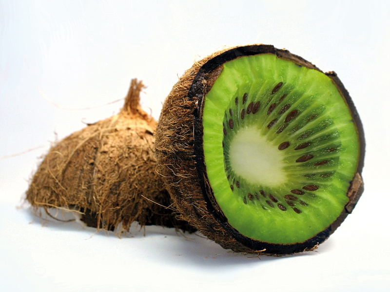 tasty, food and drink, ripe, vegetale, green, healthy eating, coconut, vitamin, freshness, mutation, green color, indoors, handling, seed, two objects