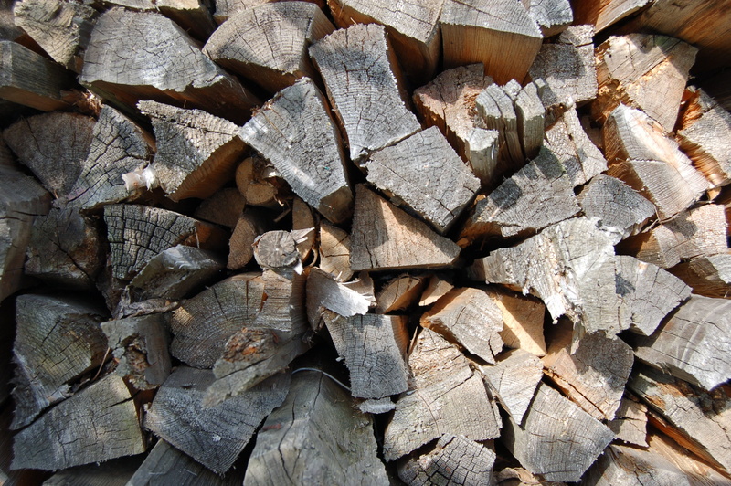 tree, forest, lumber industry, outdoors, nature, deforestation, full frame, stick, wood, lap, chopped, large group of objects, billet, firewood, timber