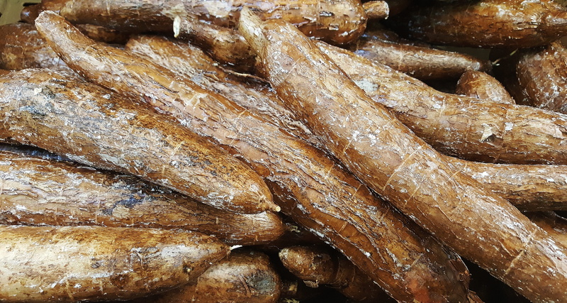 high angle view, manioc, seafood, full frame, vegetable, abundance, close-up, harvest, healthy eating, for sale, retail, brazilian arrowroot, freshness