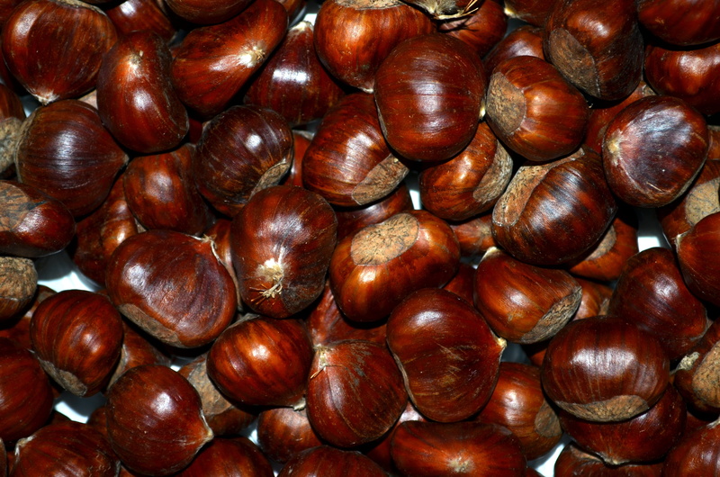 wellbeing, backgrounds, roasted chestnuts, chestnut - food, nut, food, healthy eating, chestnuts, food and drink, chestnut, large group of objects, 4K