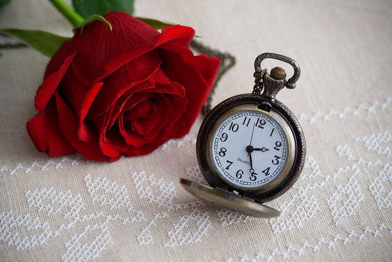 red, rose, watch, dial, 1080P, silver, flower, time, clock, pocket