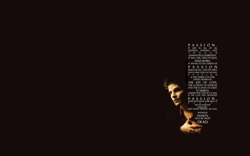 series, vampire, slayer, buffy, 1080P, x, tv, art, character, Angel (TV Series / Character), hd, buffy the vampire slayer, entertainment, angel