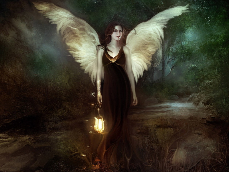 young women, angel, animal wing, night, vampire, one person, costume, evil, Fairies, fairy, fantasy, artwork, nature, fashion, mystery, young adult, ghost