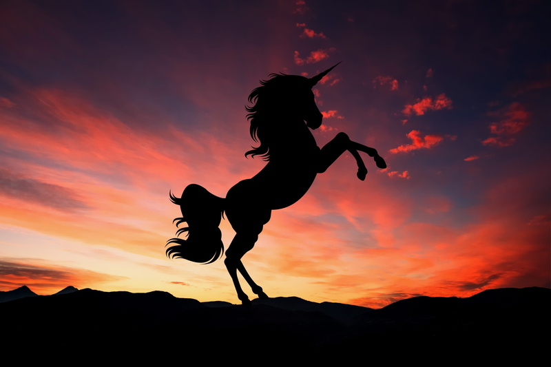 mid-air, horse, summer, motion, myth, magic, adult, creature, nature, orange color, sky, cloud - sky, silhouette, one person, full length, leisure activity