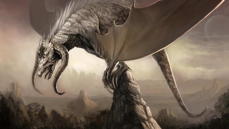 animal body part, animal themes, 1080P, nature, one animal, animal head, elephant, drawing, sky, digital composite, white dragon, focus on foreground