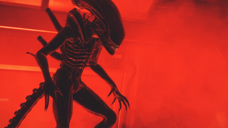 Xenomorph, science fiction, horror, 2K, creature, aliens