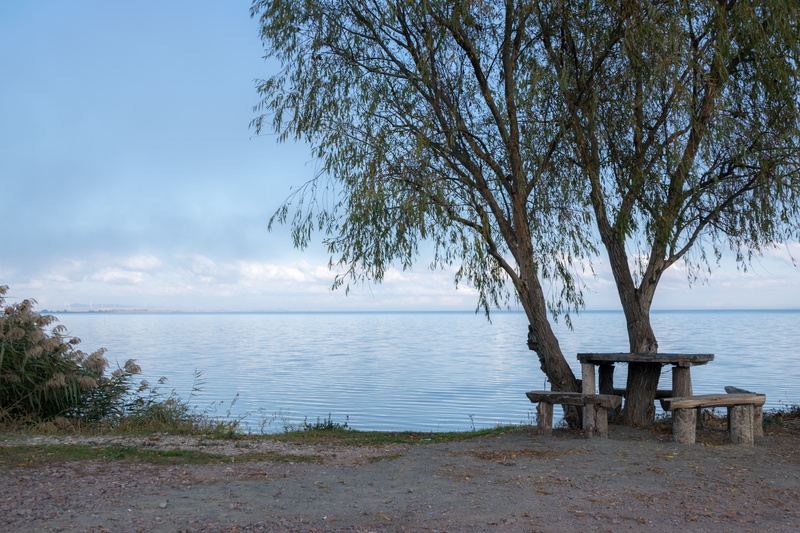 trees, bench, lake, 5K, sky, nature