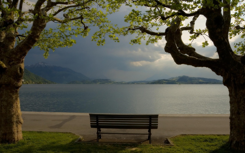 tranquility, 2K, mountain, scenics - nature, trunk, water, bench, tree trunk, growth, tranquil scene, beauty in nature, sky, empty, tree, outdoors, lake