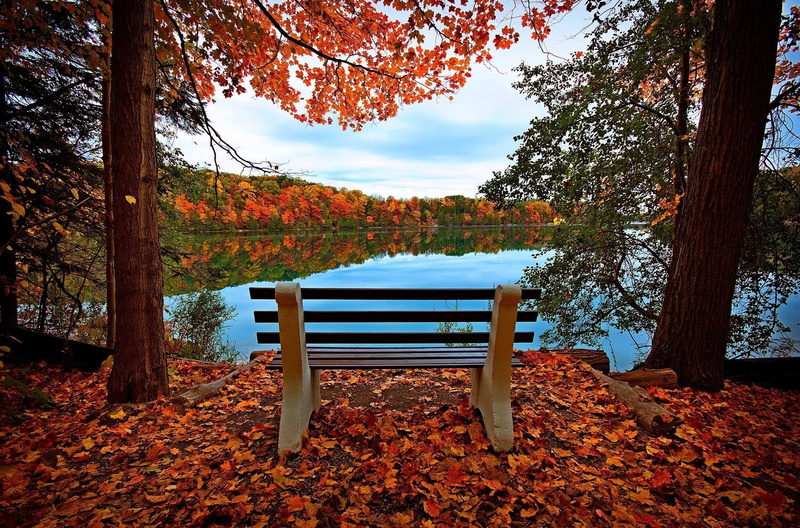 lake, river, 1080P, bench, trees, autumn