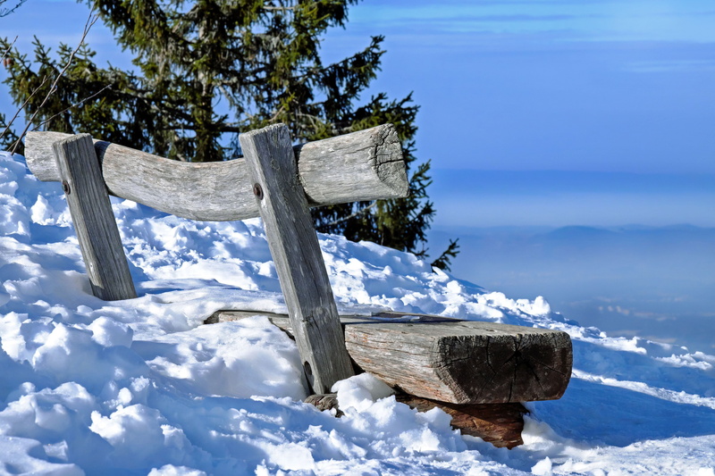 sky, snowy, cold temperature, tranquility, tranquil scene, blue, plant, wintry, winter, day, snow, nature, frozen, beauty in nature, near, scenics - nature