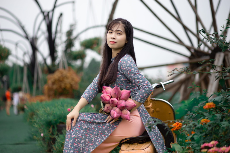 grass, dress, wearing, young adult, pose, flora, plant, hairstyle, flower, one person, outdoors, woman, looking, beautiful woman, park, photoshoot, sitting
