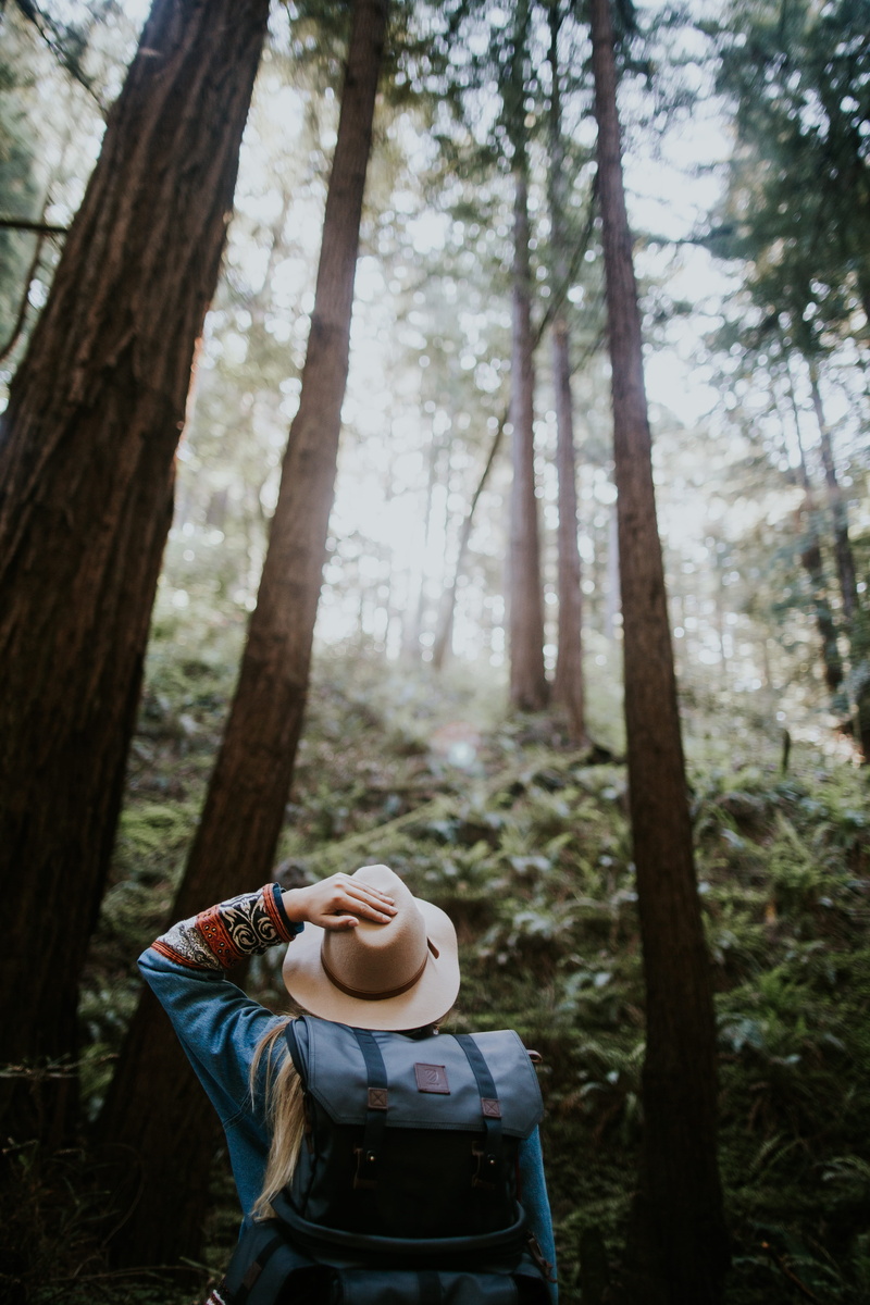 adult, land, nature, muir national forest, woman, beside, lifestyles, standing, women, tall, top, leisure activity, young adult, woodland, californium