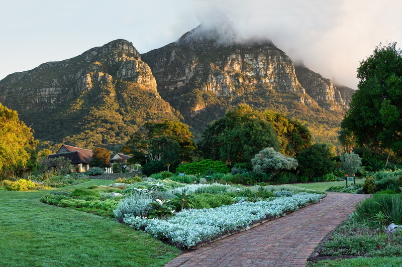 day, kirstenbosch, solid, 8K, the way forward, forest, plant, formation, park, clouds, scenics - nature, garden, mountain, summer, rock, non-urban scene