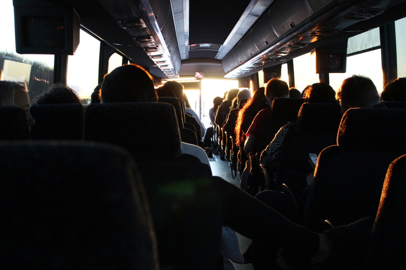 4K, sitting, bus, light, adult, passenger, rear view, men, waiting, vehicle, journey, seat, group of people, riding, sunlight, vehicle interior, women